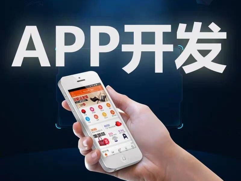 安徽省APP軟件開發價格
