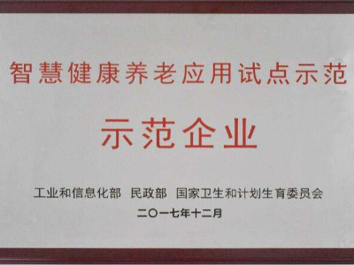安徽智慧健康養老應用試點示范申報條件